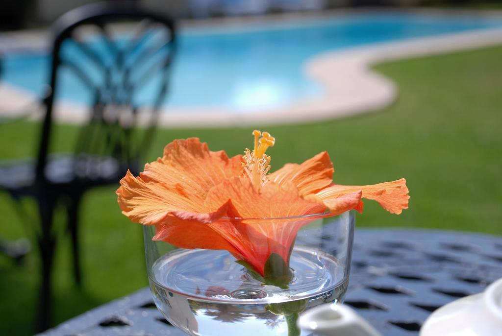Mandalay Guest House Plettenberg Bay Kültér fotó